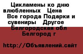 Цикламены ко дню влюбленных › Цена ­ 180 - Все города Подарки и сувениры » Другое   . Белгородская обл.,Белгород г.